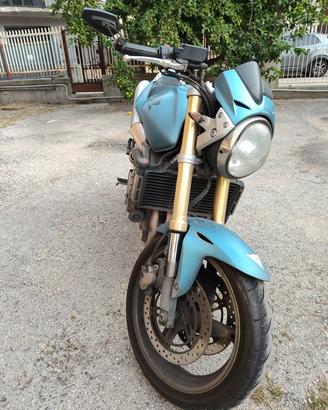 hornet 600 2006