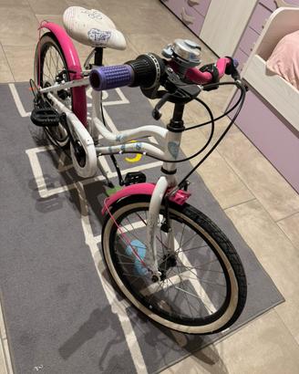 Bicicletta 20