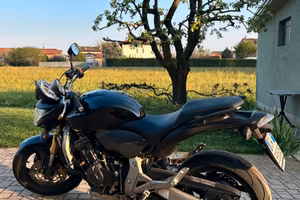 Honda Hornet