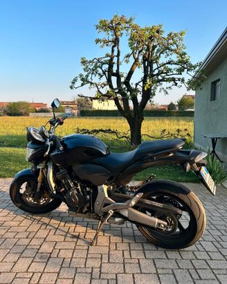 Honda Hornet