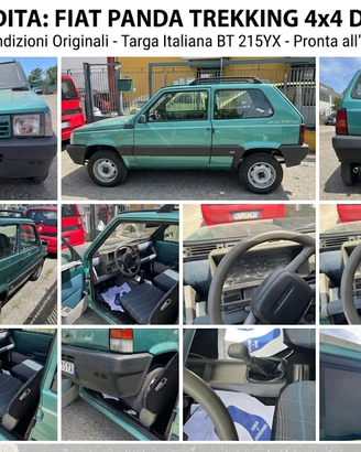 Fiat Panda 4x4 Trekking