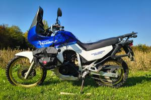 Honda XL 600 V Transalp - 1990 1°Serie