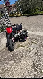 Pit bike lem 160