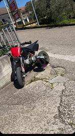 Pit bike lem 160