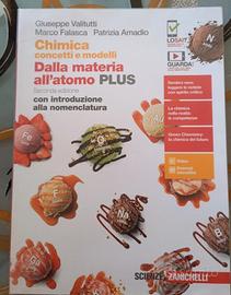 Chimica concetti e modelli-Dalla materia all'atomo
