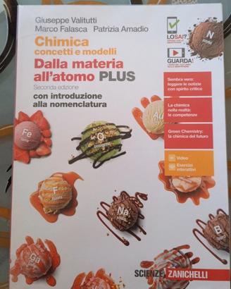 Chimica concetti e modelli-Dalla materia all'atomo