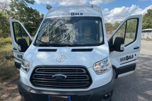 Mini Van agile Vandalo