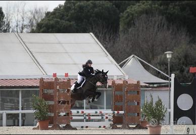 Pony da salto ostacoli