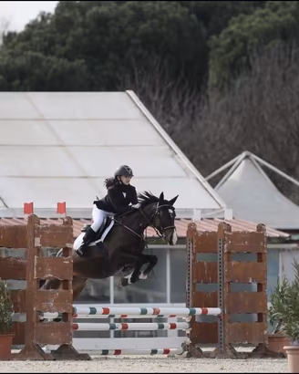 Pony da salto ostacoli