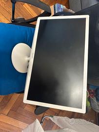 Monitor LCD 24 Pollici
