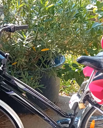 Bici da città modello renovatio