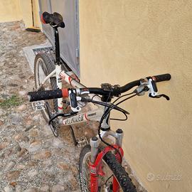 Bicicletta mountain bike