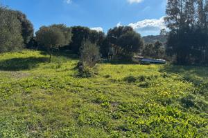 Terreno a 3 km dal Mare