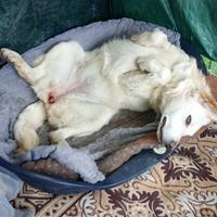 Pioggia aspetta te ?