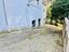 Immagine 11