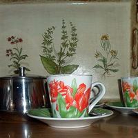 Servizio sei tazzine caffè in porcellana