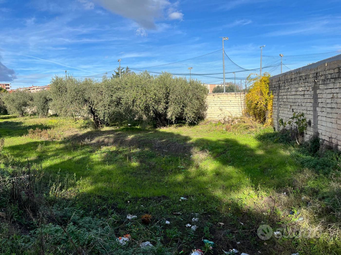 Terreno Residenziale San Severo - Vista 6