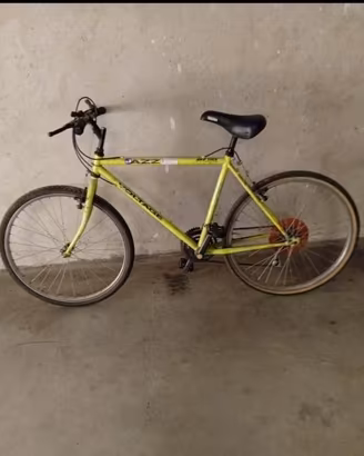 Bicicletta
