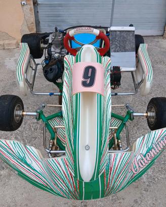 KART 125 MONOMARCIA TELAIO TONY KART 401R