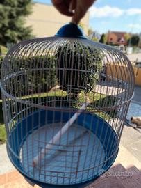 gabbia x uccelli 