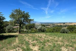 TER. RESIDENZIALE A CALVI DELL'UMBRIA