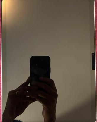 Apple iPad air 11 M2 128 GB Wi-Fi Grigio