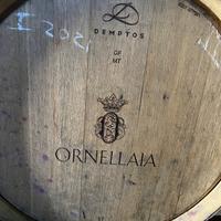 Barriques usate con marchio Ornellaia