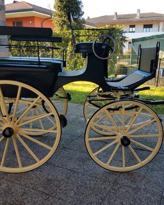 Carrozza per cavalli