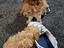 Immagine 4
