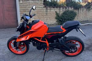 KTM DUKE 390 2024 con Quickshifter up&down