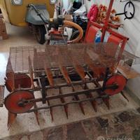 scopatrice e cernitrice olive 