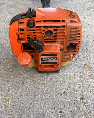 Decespugliatore echo