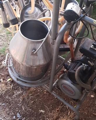 Mungitrice per mucche