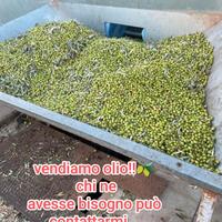 olio di oliva 5 litri