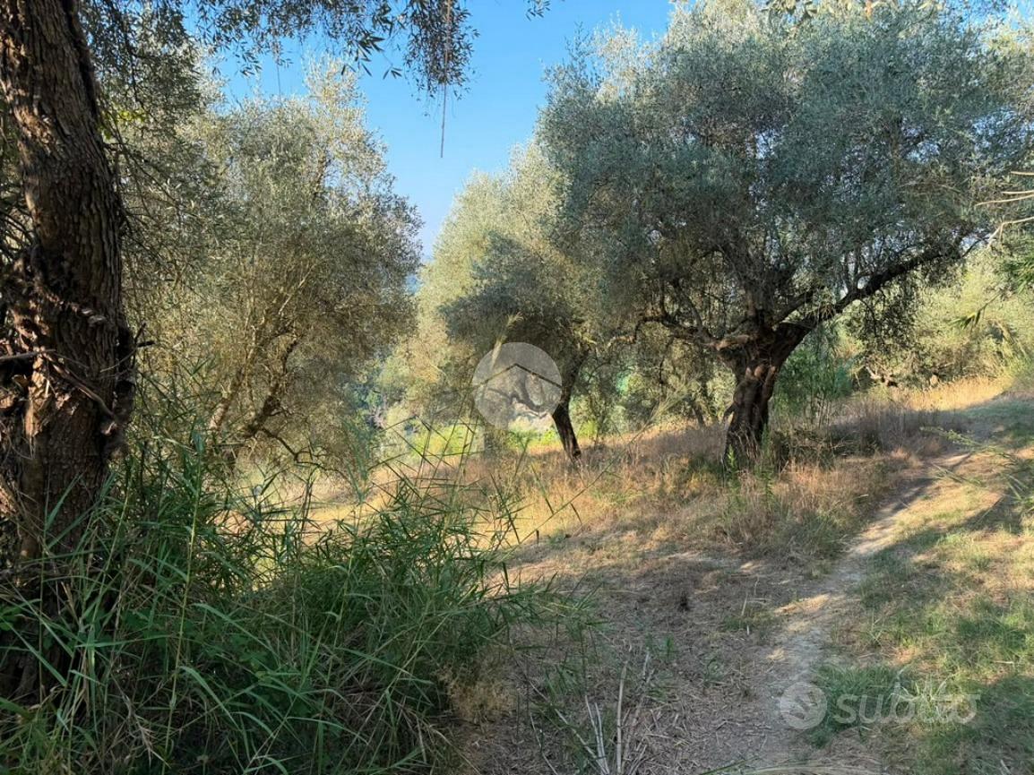 TER. AGRICOLO A MAGLIANO SABINA - Vista 3