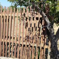 cancello in ferro  