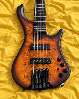 Ibanez EHB 1505