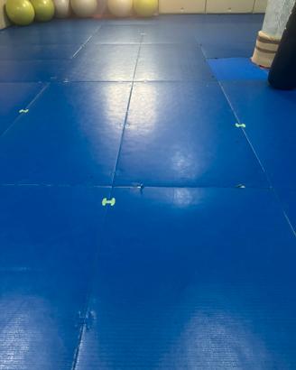 Tatami 4 cm. 2m x 1m