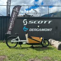 cargo bike bergamont