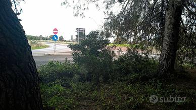 Terreno agricolo