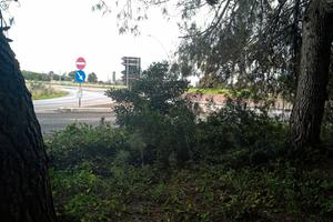 Terreno agricolo