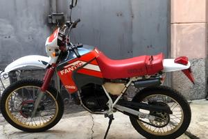 Fantic Oasis 50 1986