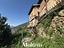 Immagine 8