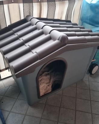 cuccia per cane
