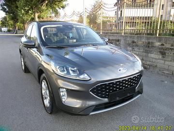 FORD Kuga 1.5 EcoBlue 120 CV aut. 2WD Titanium B