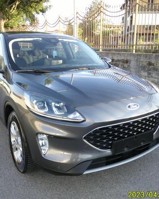 FORD Kuga 1.5 EcoBlue 120 CV aut. 2WD Titanium B