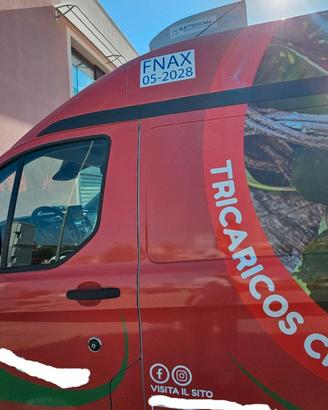 FORD TRANSIT CUSTOM MILD HYBRID  CELLA FRIGO ZANOT