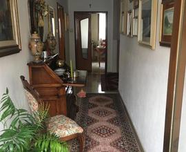 Casa Indipendente Adria [A4095VRG]
