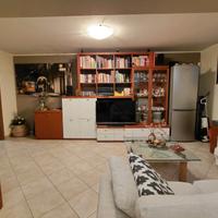 mobile soggiorno con libreria