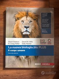 libro di testo